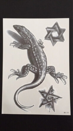 Tillfällig Tatuering 21 x 15cm - ödla davidstjärna pentagram