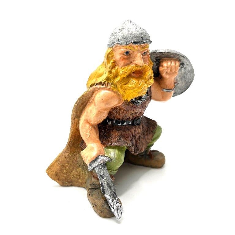 Viking Krigare med svärd och sköld